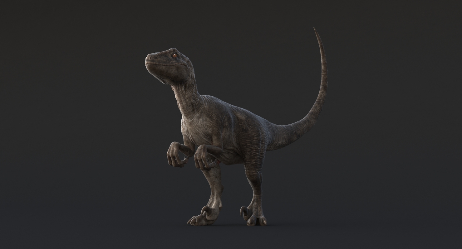 realistic raptor