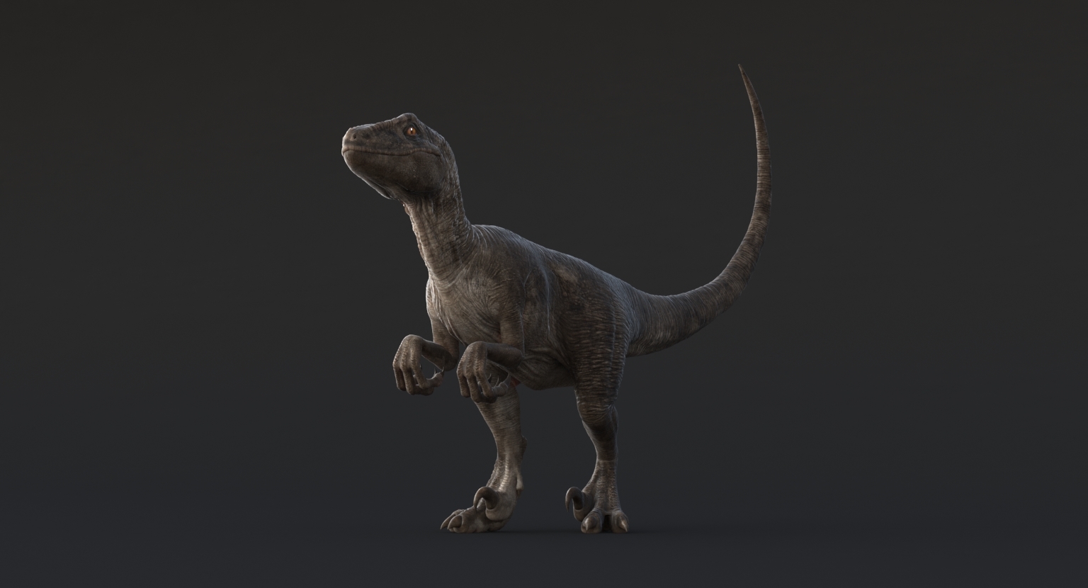 Realistic Velociraptor Rigged Raptor 3d Max 