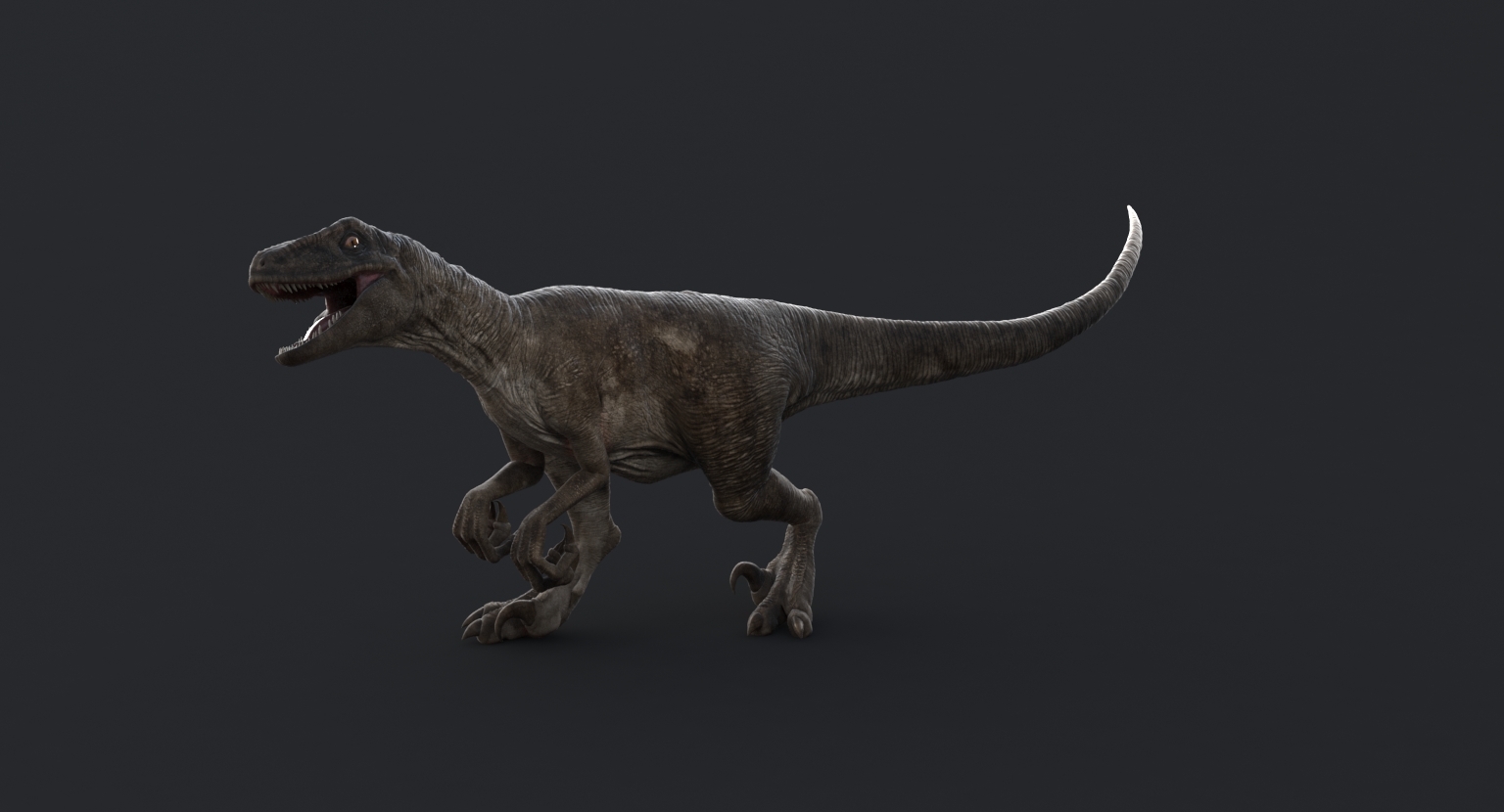 realistic velociraptor