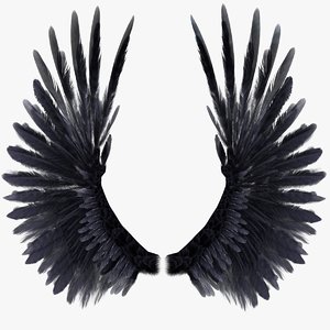 3d model realistic wings rigged
