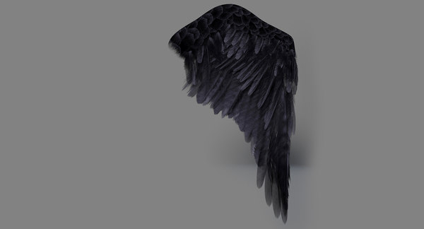 3d model realistic wings rigged