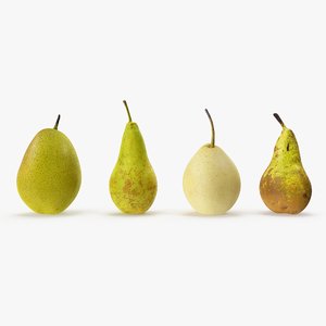 3D pears v-ray