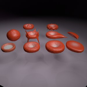 red blood 3D model