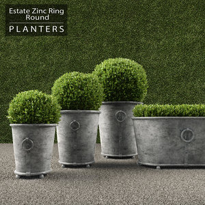 3d max realistic planters ring
