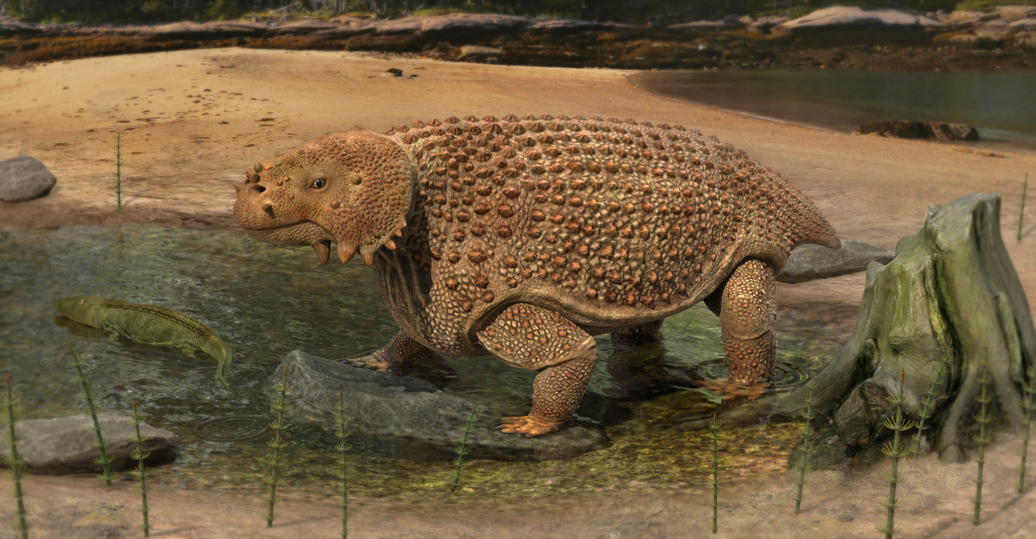 scutosaurus toy