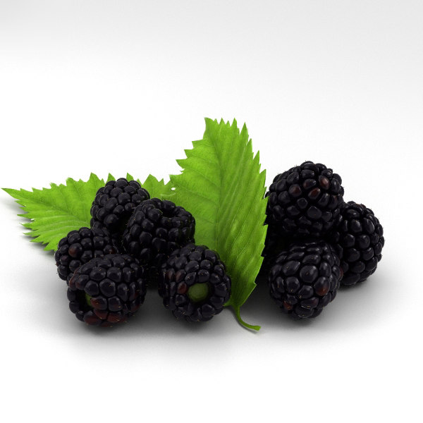 blackberry