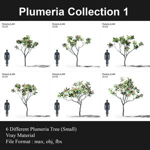 plumeria trees 3D model