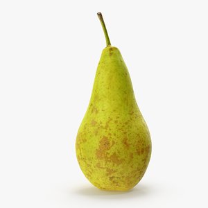 pear conference v2 3D model
