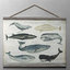3d model scientific whale tapestry