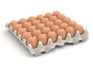 carton eggs package model