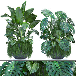3D loft exotic plants