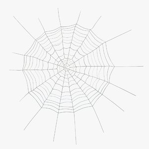 3D spider web model