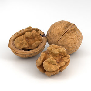 walnut nut 3D model