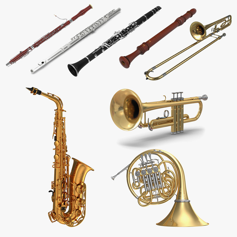 wind-musical-instruments-4-model-turbosquid-1345088