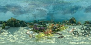 3D ocean floor coral reefs