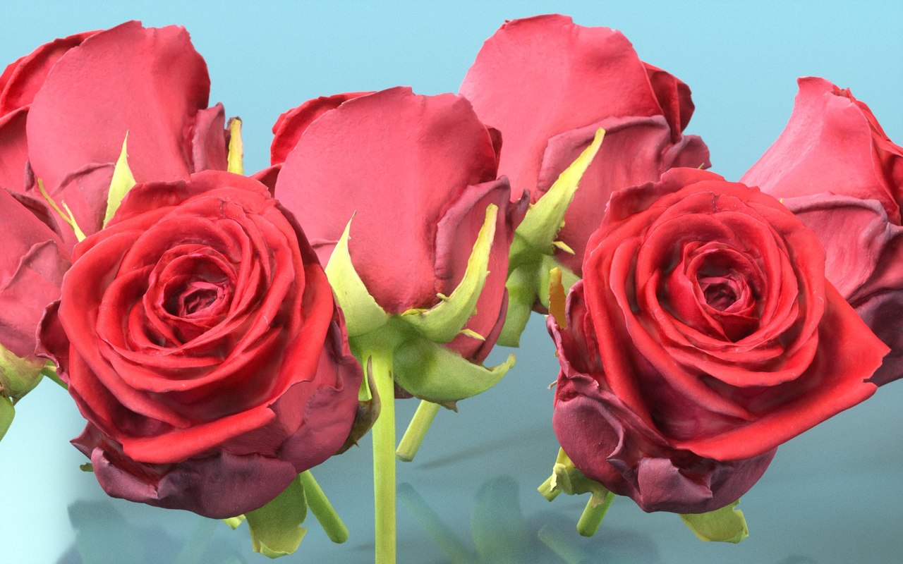 China chinese rose 3D TurboSquid 1345142