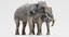 3D model asian elephants