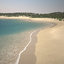 palm beach shoreline 3D