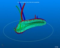 pancreas organ 3D model