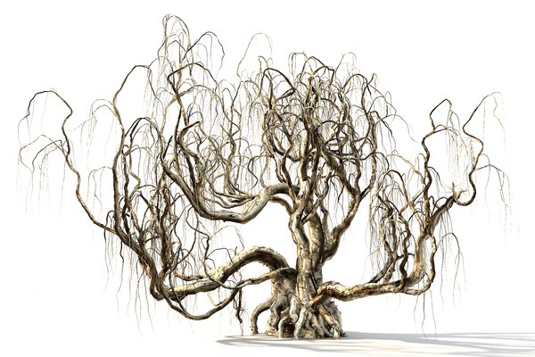 Spooky Tree 3d Turbosquid