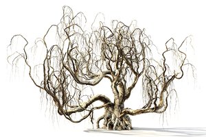 spooky tree 3D