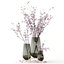 realistic cherry vases blossom 3D model