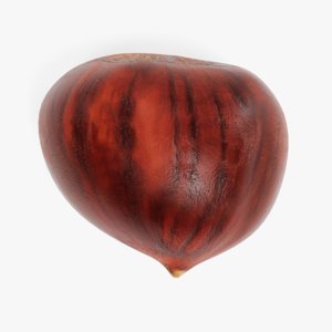 sweet chestnut 3D model