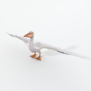 pelican 3D model