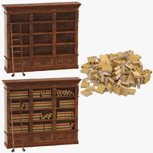 3D law shelves books model