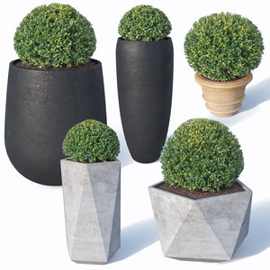 3D bushes pots plants