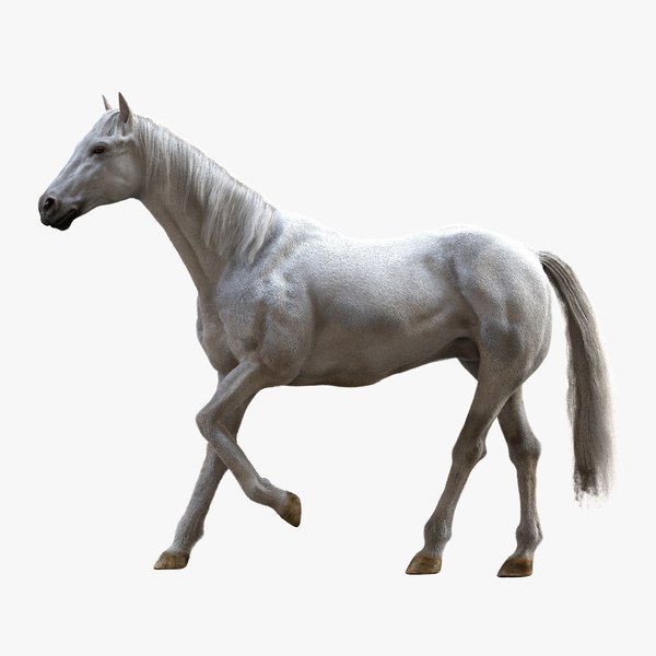 3d horse model blender free download