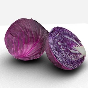 red cabbage 3D model
