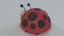 3D bug cartoon ladybug