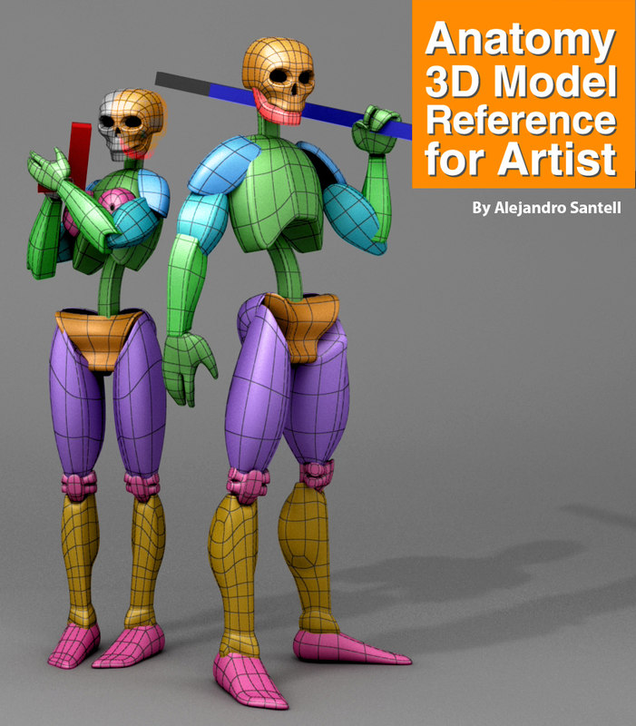 3D reference anatomy muscles artist - TurboSquid 1347940