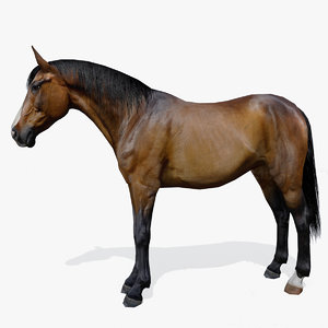 3D mane colour 10 horse