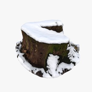 3D stump snow model