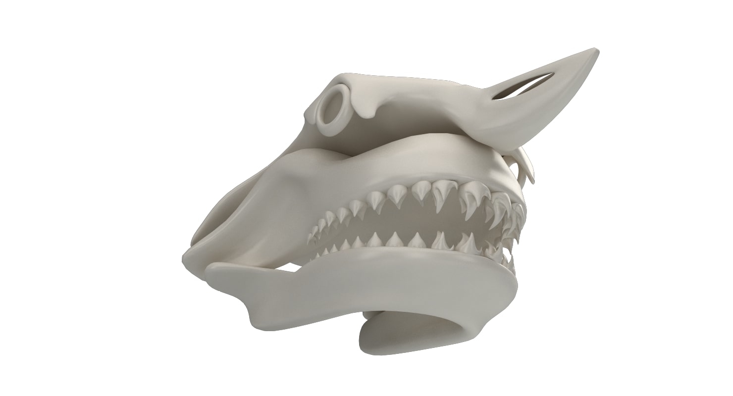 大白鲨头骨3d模型