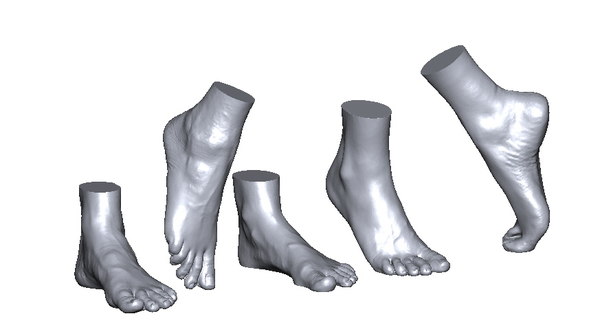 Scans Foot 3d Model Turbosquid 1348831 Scans Foot 3d Model Turbosquid 1348831