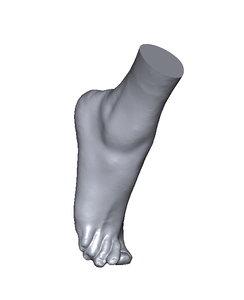 3D scan foot model