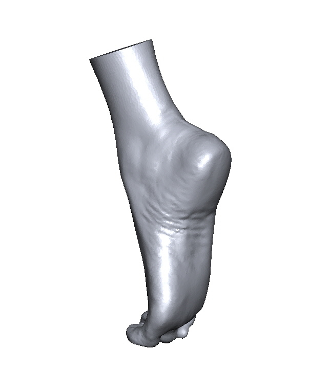 3d Scan Foot Model Turbosquid 1348817