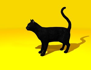 black cat gift animal 3D model