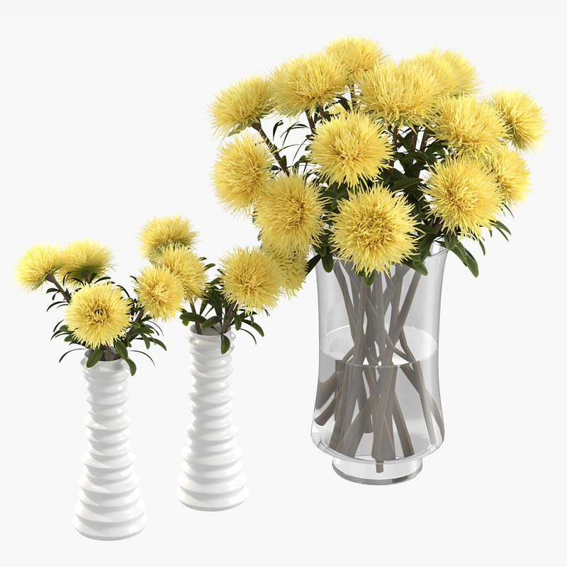 Realistic yellow asters 3D model - TurboSquid 1348888