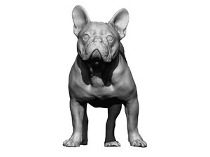 3D dog scanned photogrammetry model