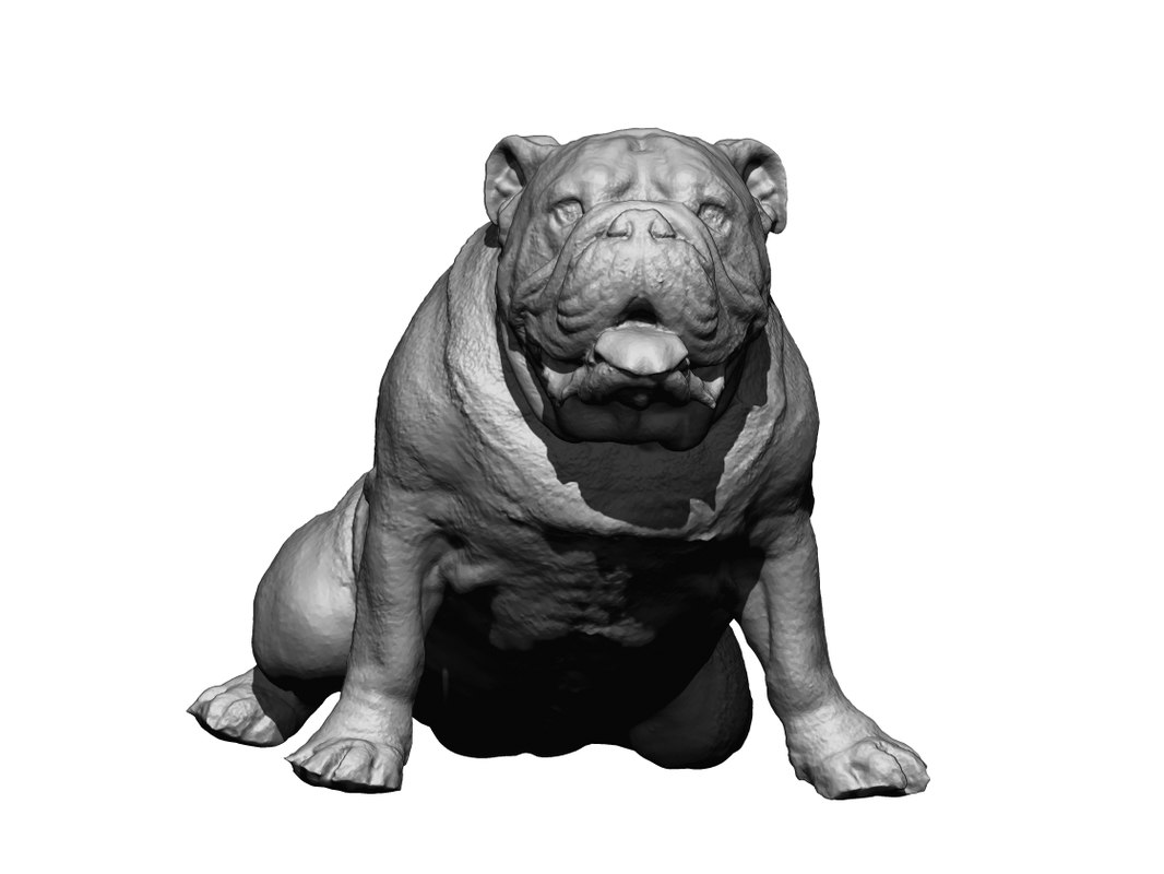 3D dog scanned photogrammetry - TurboSquid 1349152