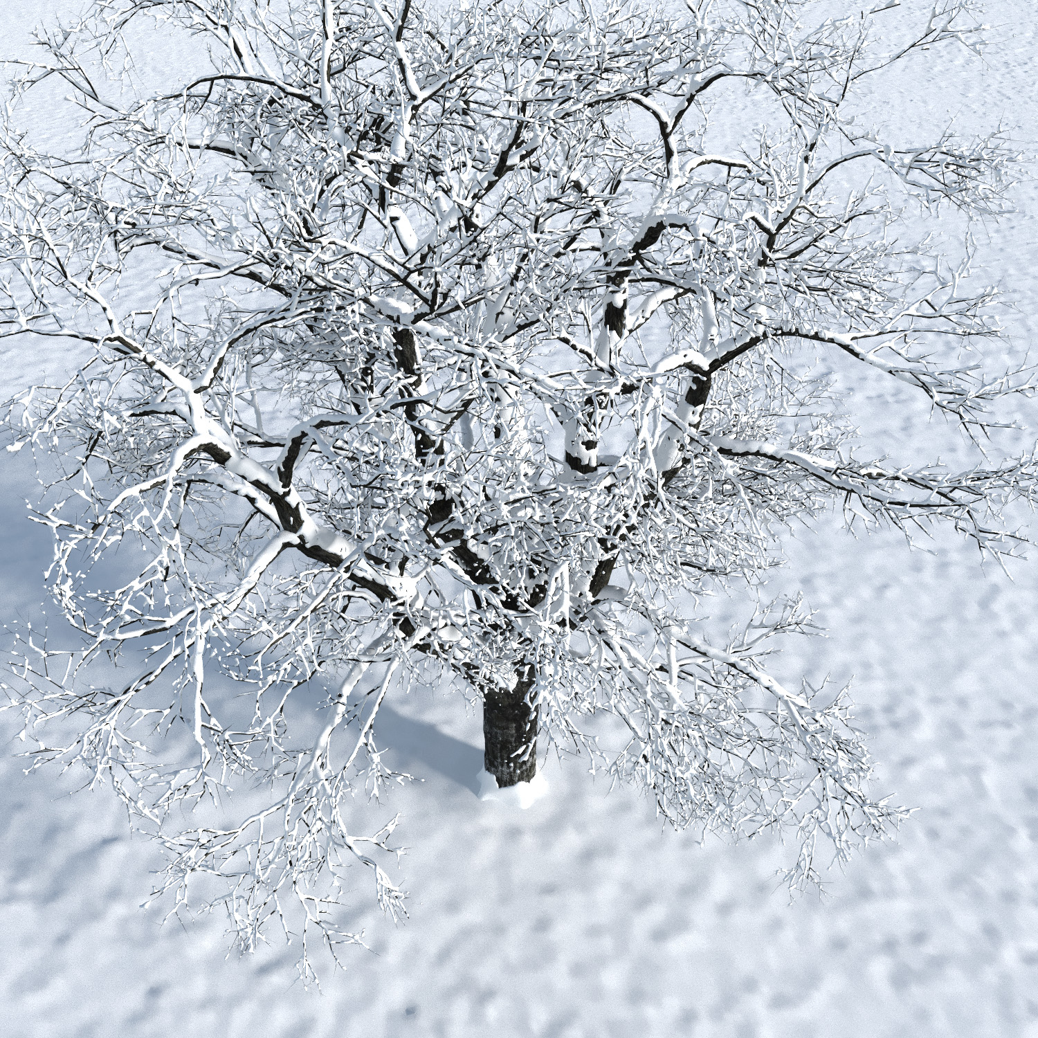 Trees model - TurboSquid 1349216