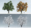 trees model