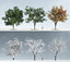 trees model