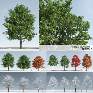 3D trees 3