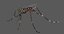 rigged mosquito yellow fever 3D model