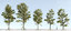 trees 6 3D
